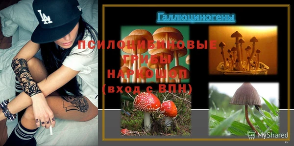 прущие крисы Алексеевка