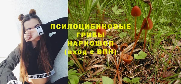 синтетический гашиш Алексин