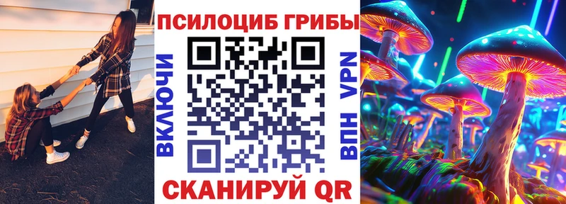 где купить наркотик  Межгорье  Галлюциногенные грибы Magic Shrooms 